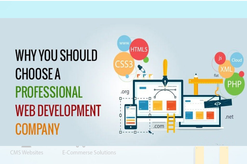 Best Website Designing Company in Delhi