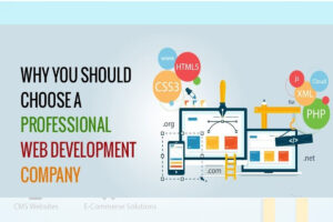 Best Website Designing Company in Delhi