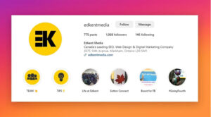 Clever Instagram Bio Ideas