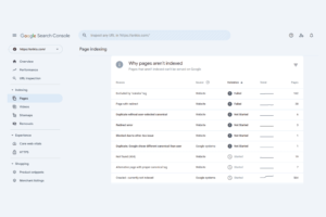 pages indexing in google search console