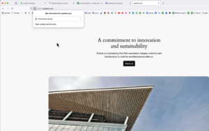 Now choose what type of website you want to make or choose blank and submit your domain. Then click Next.